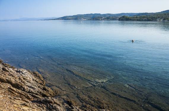 IMG-5001.jpg
