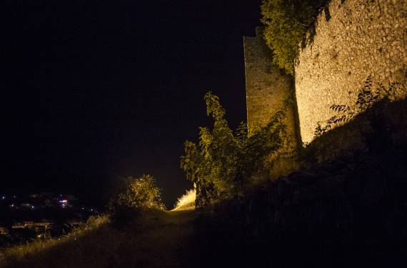 IMG-5554.jpg