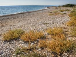 Kefalonia blog - 1.nap: a romantikus vadon